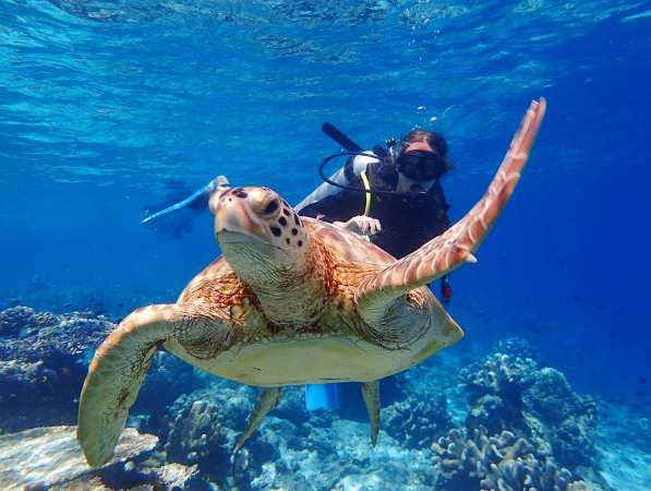 Five places to go scuba diving in Asia