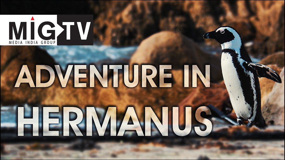 Adventure in Hermanus