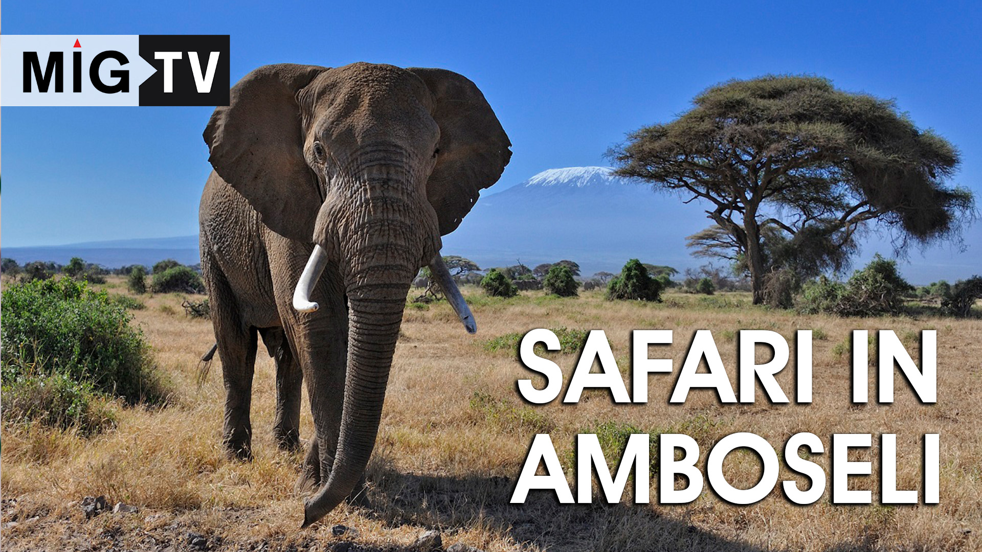 One day safari in Amboseli