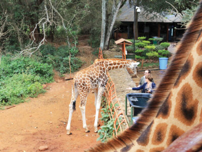 Nairobi National Park turns 75
