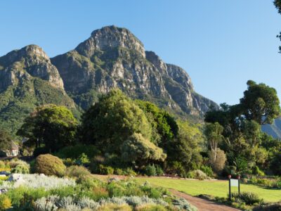 ILTM Africa 2023 returns to award-winning South African nature location