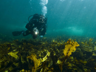 Experiencing Oman’s underwater heritage