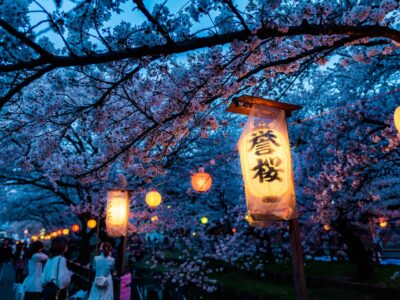 Cherry blossom festival Japan