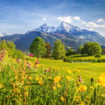 bavarian-alps-idyllic-mountain-scenery