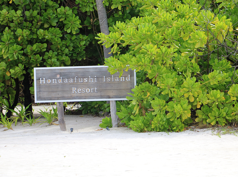 The Hondaafushi Island Resort, which was a huge property, spread over a massive 59 hectares and with bungalows for accommodation (Photo: India Outbound/Varsha Singh)