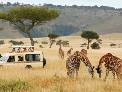 Tanzania mandates local currency for tourism transactions