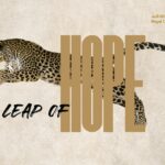 AlUla launches conservation campaign on International Day of the Arabian Leopard