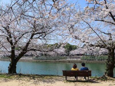 February signals onset of Hanami in Japan