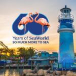 SeaWorld Orlando launches year-long campaign to celebrate 60th anniversary