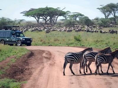 Tanzanian wildlife park