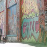 Exploring San Francisco’s street art on World Art Day