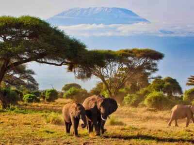 Kenya tourism