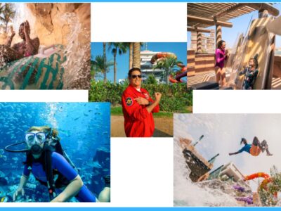 Aquaventure World names US actor David Hasselhoff as ‘Head Lifeguard’