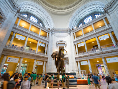 After-hours programming at popular museums in Washington, DC