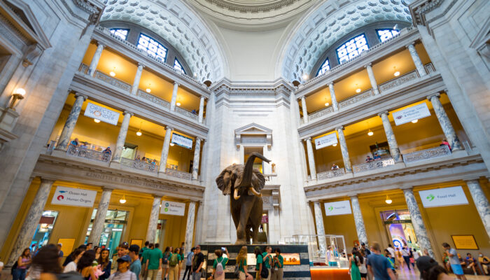 After-hours programming at popular museums in Washington, DC